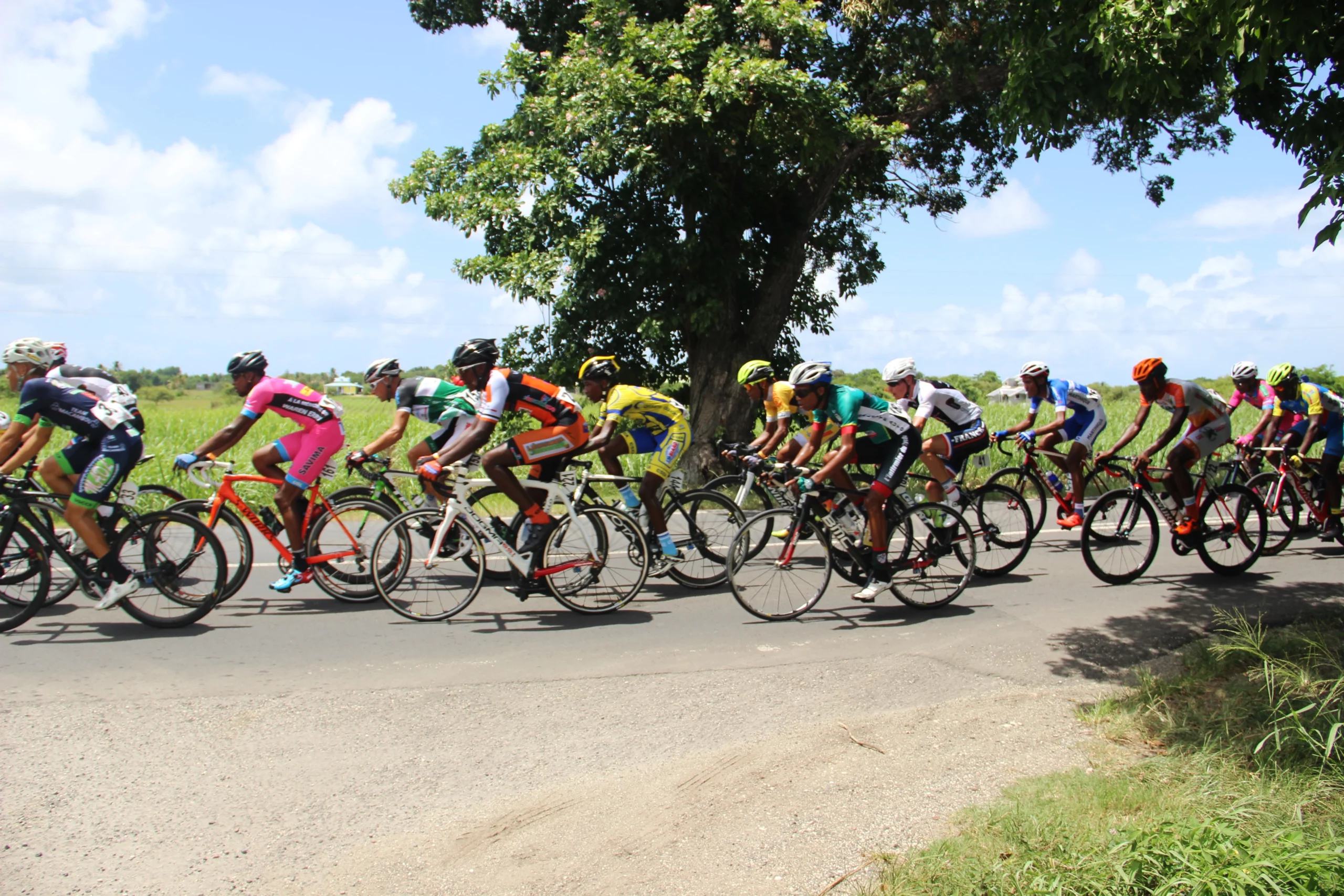 groupe de cyclistes lors du tour de la guadeloupe