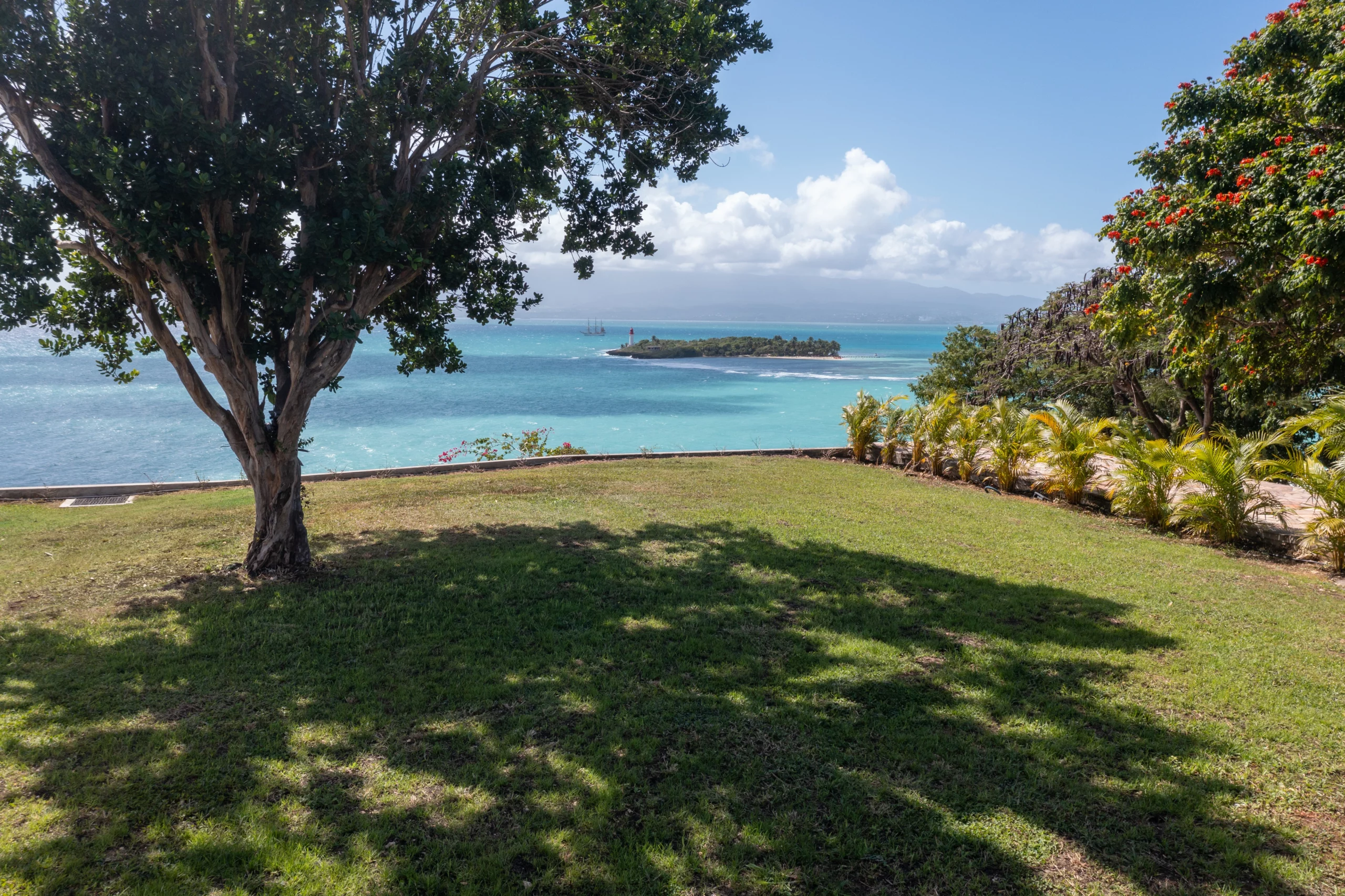 grand jardin vue mer avec arbre de bois d'inde dans une villa vue mer et piscine en guadeloupe