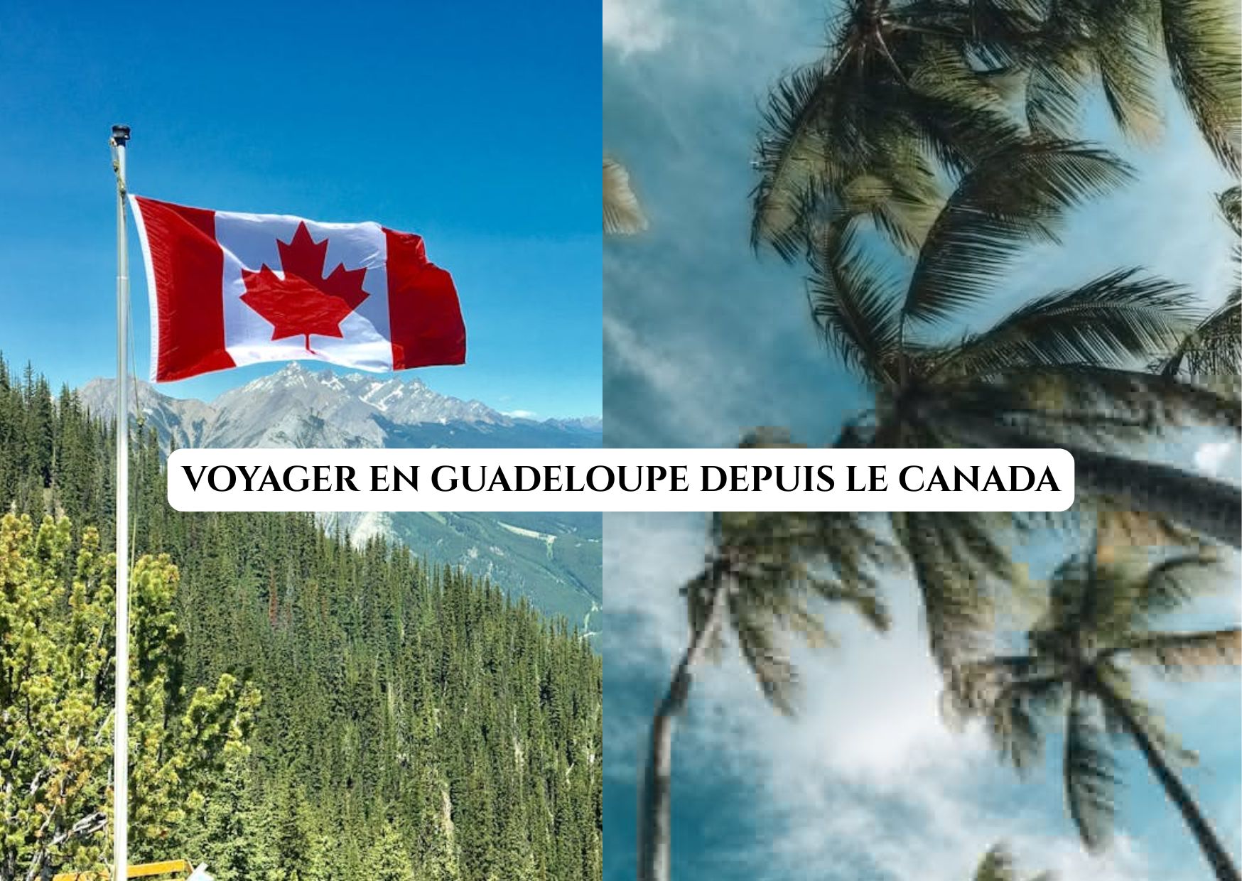 illustration vacances guadeloupe canada