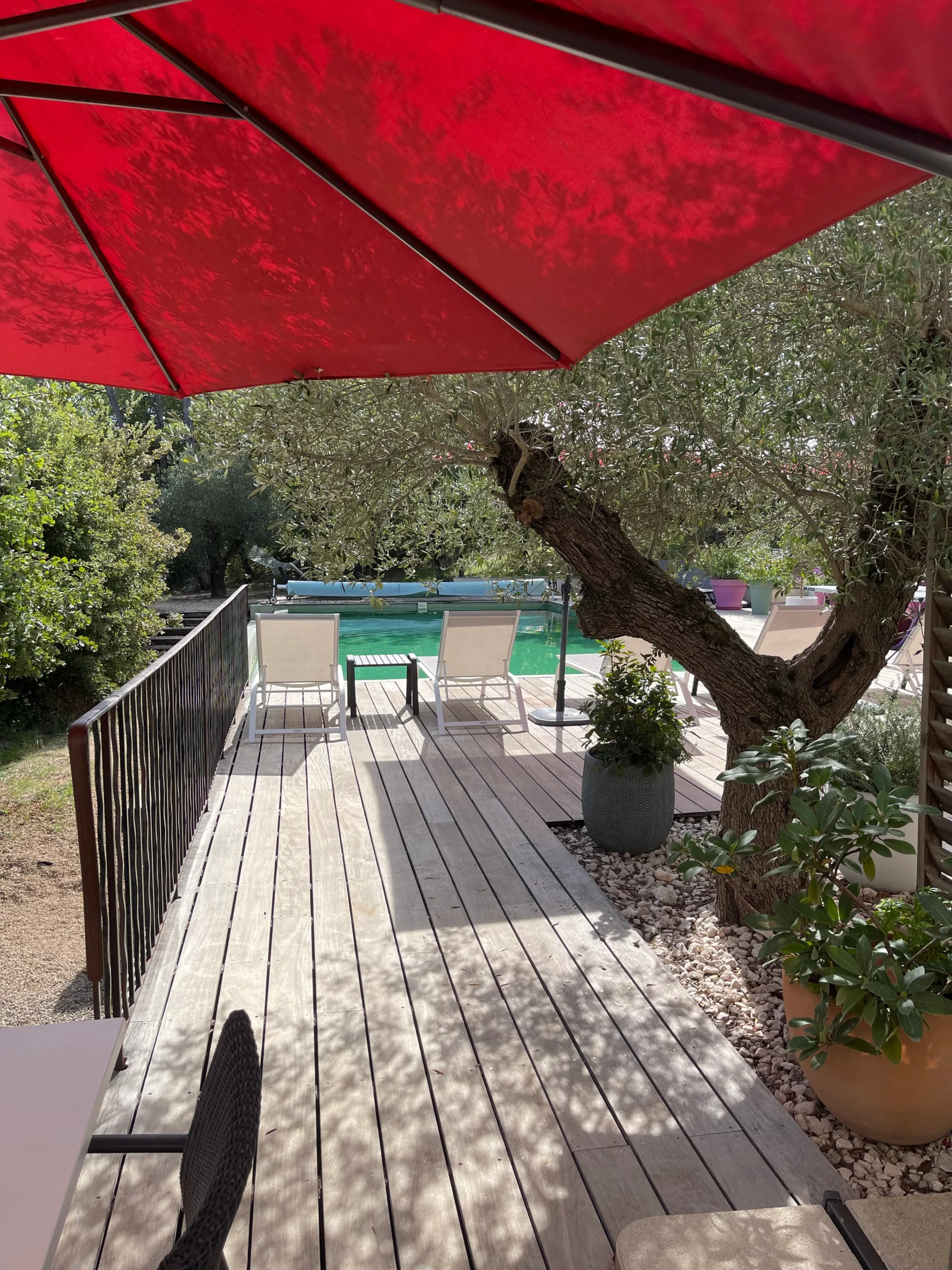 Terrasse vue piscine du gîte à Saint-Maximin la Sainte Baume dans la Provence Verte